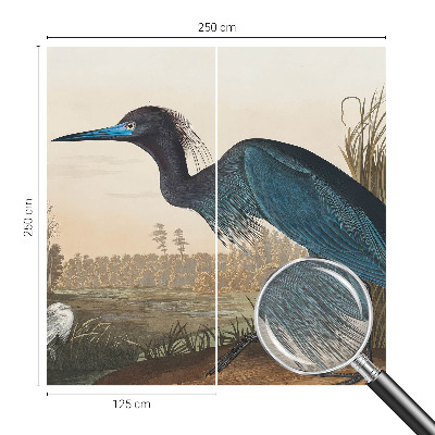 Fototapete aus Vlies Wasservögel