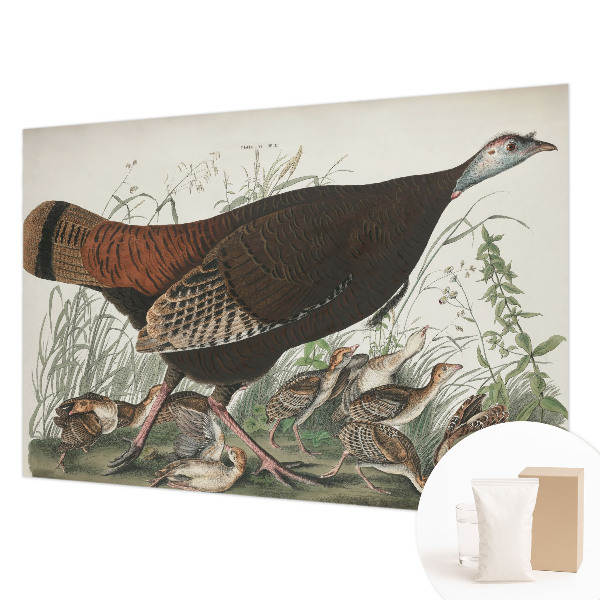 Wand-Fototapete Natürliche Harmonie