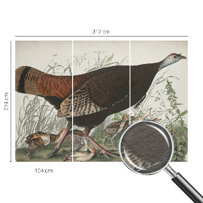 Wand-Fototapete Natürliche Harmonie