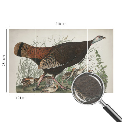 Wand-Fototapete Natürliche Harmonie