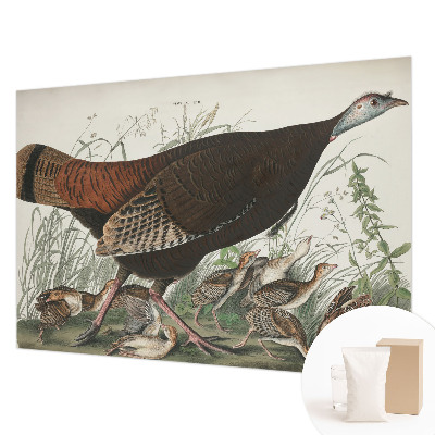 Wand-Fototapete Natürliche Harmonie