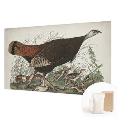 Wand-Fototapete Natürliche Harmonie