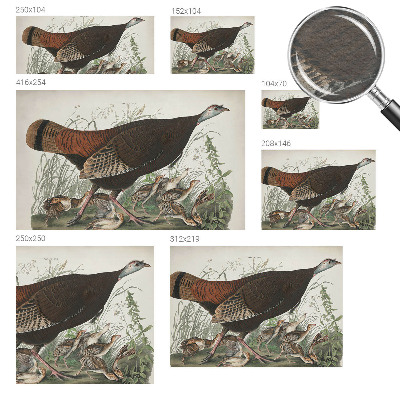 Wand-Fototapete Natürliche Harmonie