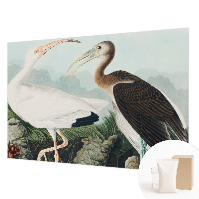 Dekorative Wand-Fototapete mit einem Vogelpaar als Motiv