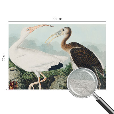 Dekorative Wand-Fototapete mit einem Vogelpaar als Motiv