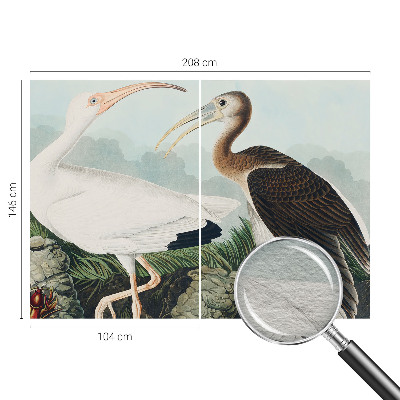 Dekorative Wand-Fototapete Vogelpaar