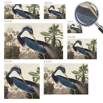 Fototapete fürs Wohnzimmer Exotische Natur