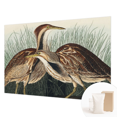 Wandtapete mit realistischem Vogelmotiv