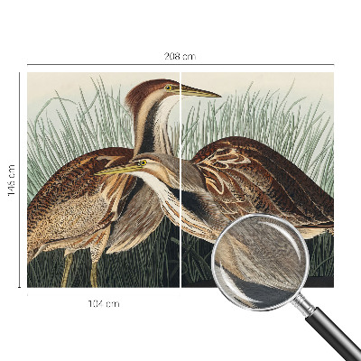 Wandtapete mit realistischem Vogelmotiv