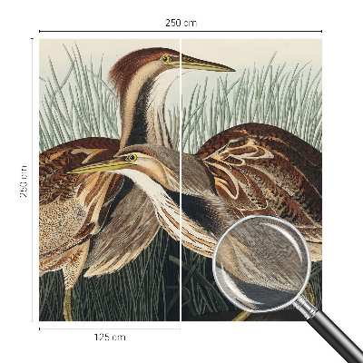 Wandtapete mit realistischem Vogelmotiv