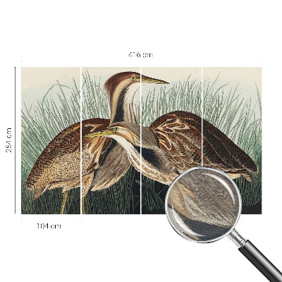 Wandtapete mit realistischem Vogelmotiv