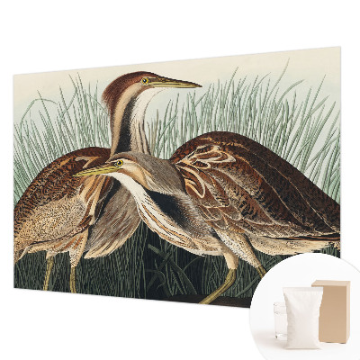 Wandtapete mit realistischem Vogelmotiv