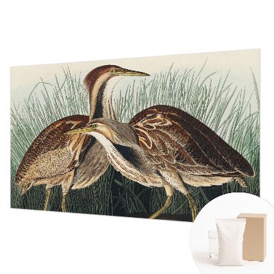 Wandtapete mit realistischem Vogelmotiv