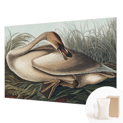 Vlies-Fototapete mit natürlichem Vogelmotiv
