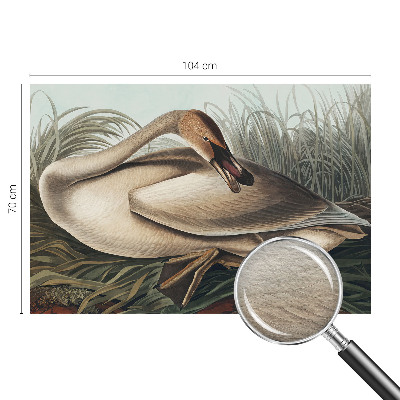 Vlies-Fototapete mit natürlichem Vogelmotiv