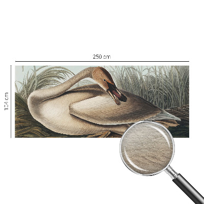 Vlies-Fototapete mit natürlichem Vogelmotiv