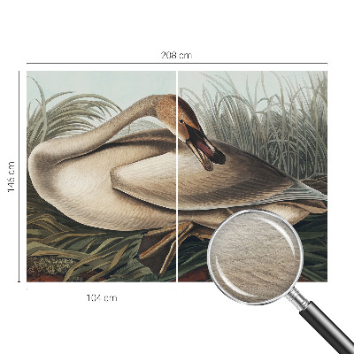 Vlies-Fototapete mit natürlichem Vogelmotiv