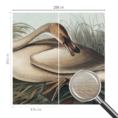 Vlies-Fototapete mit natürlichem Vogelmotiv