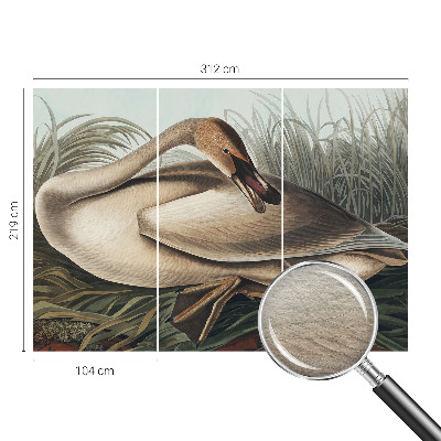 Vlies-Fototapete mit natürlichem Vogelmotiv