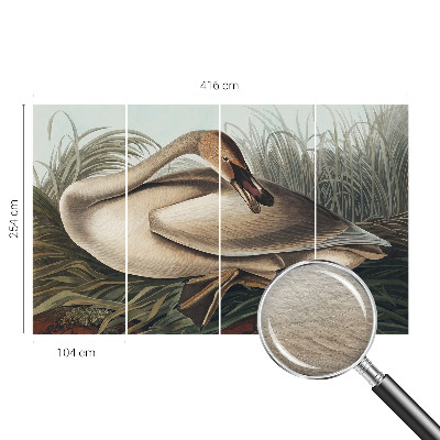 Vlies-Fototapete mit natürlichem Vogelmotiv