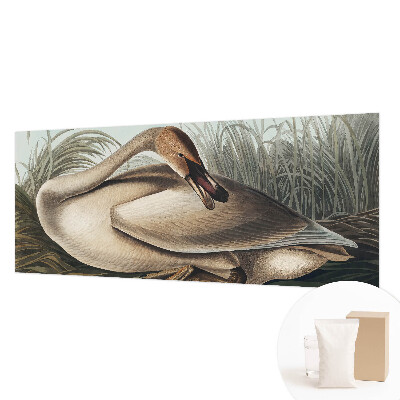 Vlies-Fototapete mit natürlichem Vogelmotiv