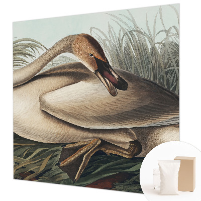 Vlies-Fototapete mit natürlichem Vogelmotiv
