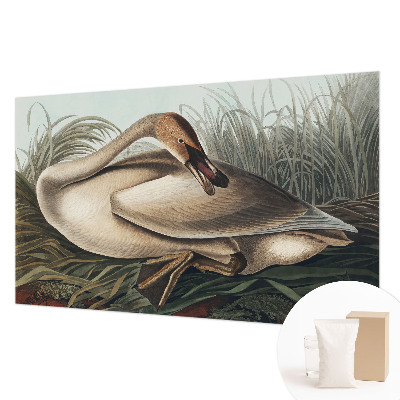 Vlies-Fototapete mit natürlichem Vogelmotiv