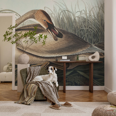 Vlies-Fototapete mit natürlichem Vogelmotiv