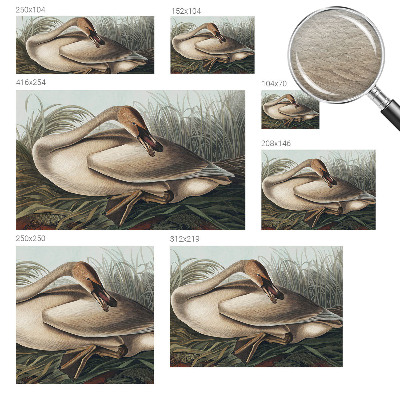 Vlies-Fototapete mit natürlichem Vogelmotiv