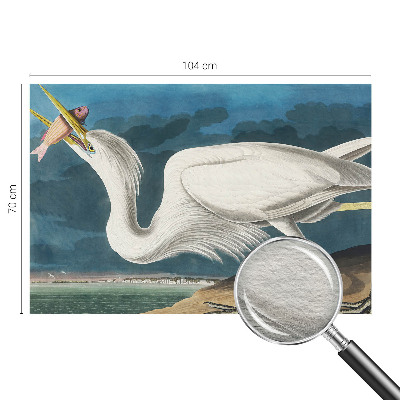Vlies-Fototapete nach Maß mit einem Vogel, der einen Fisch hält