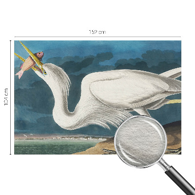 Vlies-Fototapete nach Maß mit einem Vogel, der einen Fisch hält
