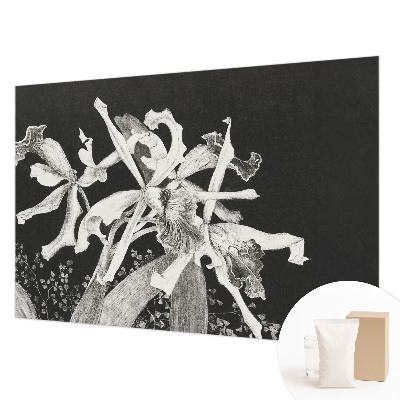 Fototapete fürs Kinderzimmer mit einer Illustration von Orchideen