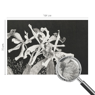 Fototapete fürs Kinderzimmer mit einer Illustration von Orchideen