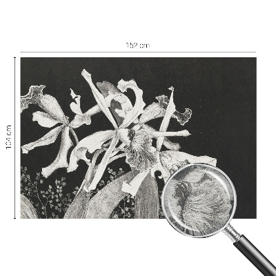 Fototapete fürs Kinderzimmer mit einer Illustration von Orchideen