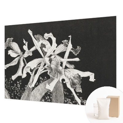 Fototapete fürs Kinderzimmer mit einer Illustration von Orchideen