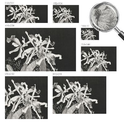 Fototapete fürs Kinderzimmer mit einer Illustration von Orchideen