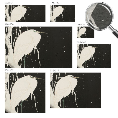 Motivtapete aus Vlies mit Motiv eines Wintervogels