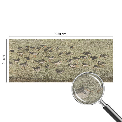 Moderne Vlies-Fototapete mit dem Motiv „Vogelfrieden”