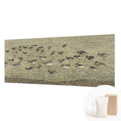 Moderne Vlies-Fototapete Vogelfrieden