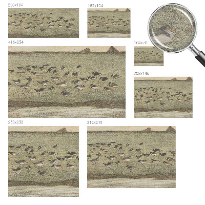 Moderne Vlies-Fototapete mit dem Motiv „Vogelfrieden”