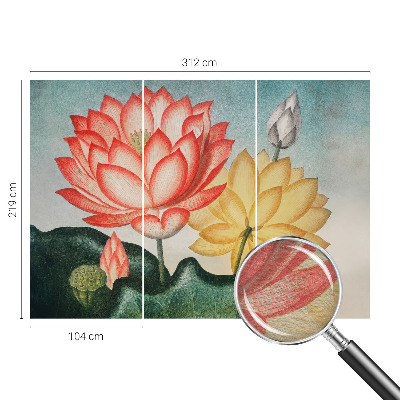 Fototapete mit Motiv aus Lotusblumen