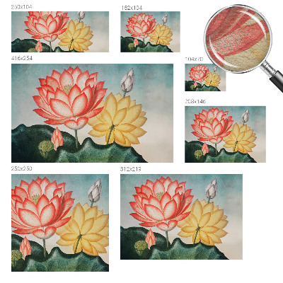 Fototapete mit Motiv aus Lotusblumen