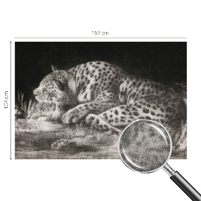 Fototapete fürs Kinderzimmer mit einem ruhenden Leoparden