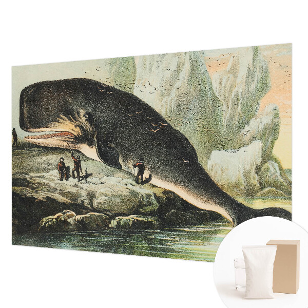 Vlies-Fototapete fürs Wohnzimmer Meeresgigantismus