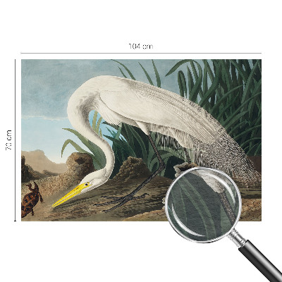 Bedruckte Vlies-Fototapete Majestätischer Reiher