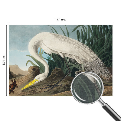 Bedruckte Vlies-Fototapete Majestätischer Reiher