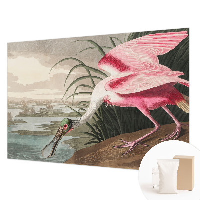 Moderne Vlies-Fototapete mit Motiv eines exotischen Vogels