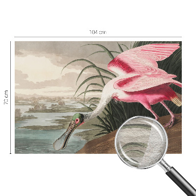 Moderne Vlies-Fototapete mit Motiv eines exotischen Vogels