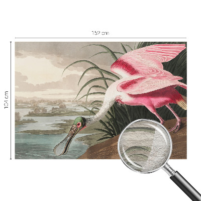 Moderne Vlies-Fototapete mit Motiv eines exotischen Vogels