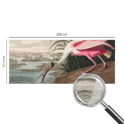 Moderne Vlies-Fototapete Exotischer Vogel